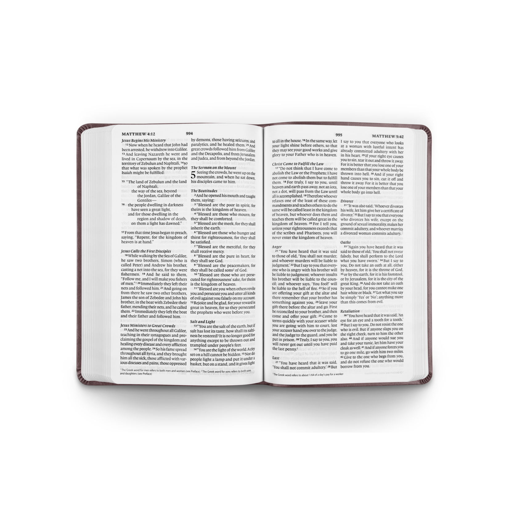 Crossway ESV Large Print Value Thinline Bible TruTone®, Mahogany, Border Design