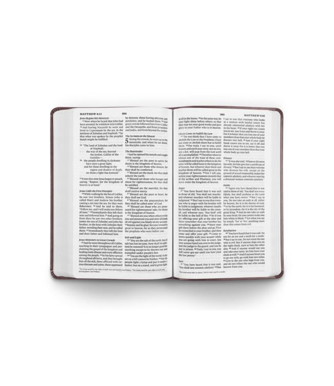ESV Large Print Value Thinline Bible TruTone®, Mahogany, Border Design