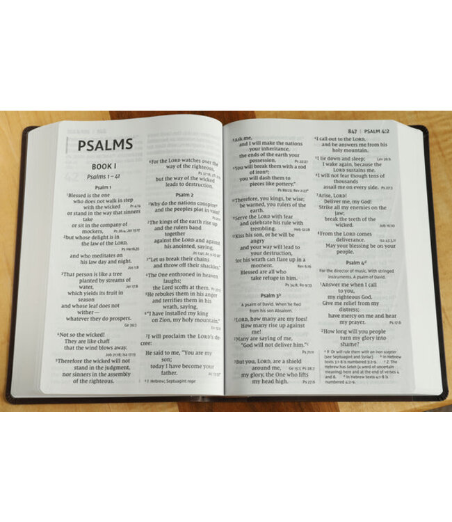 NIV, Super Giant Print Reference Bible, Red Letter Edition, Comfort Print, Chocolate LeatherSoft