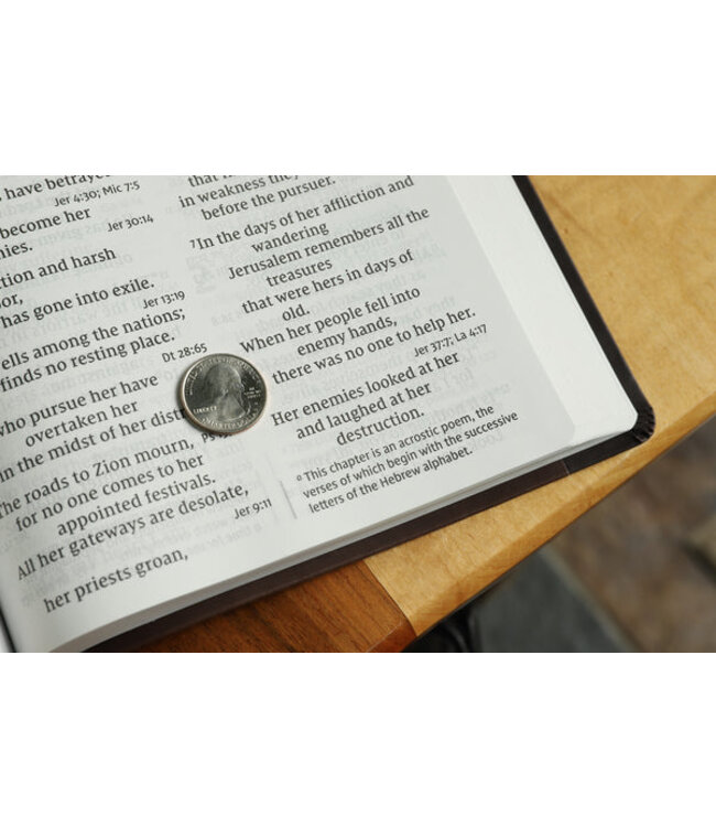 NIV, Super Giant Print Reference Bible, Red Letter Edition, Comfort Print, Chocolate LeatherSoft