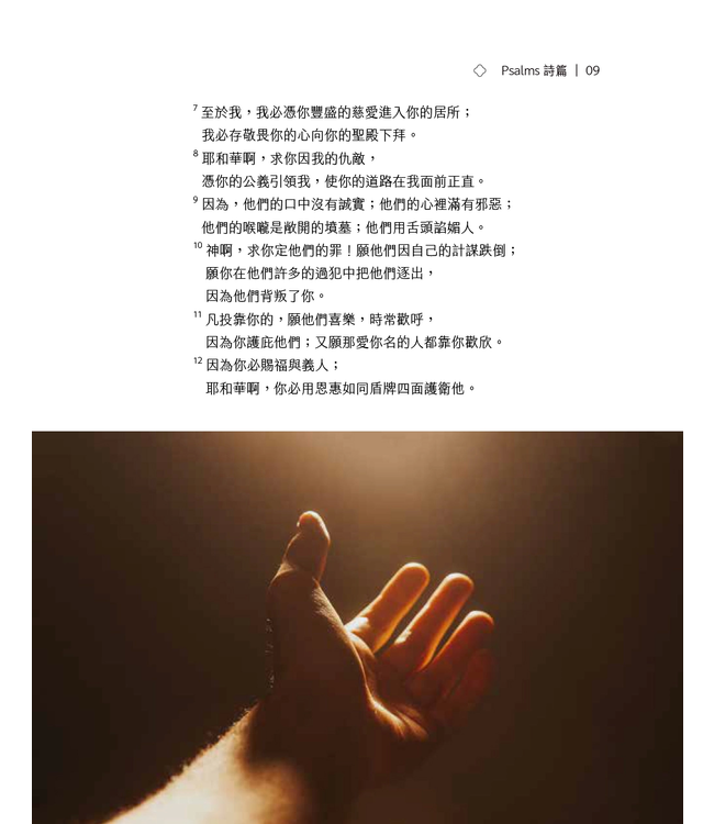 悅讀聖經：詩篇