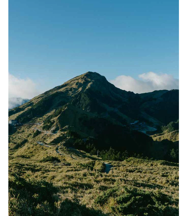 悅讀聖經：詩篇