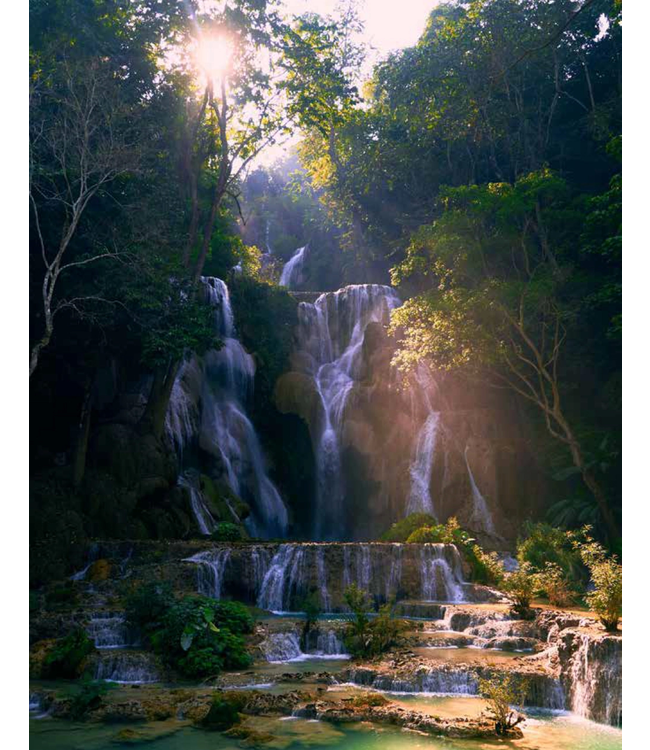 悅讀聖經：詩篇