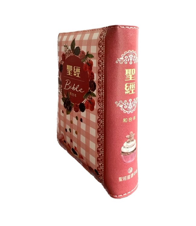 聖經．和合本．3系列．彩繪皮面拉鍊（繽紛版）