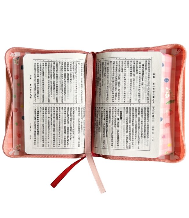 聖經．和合本．3系列．彩繪皮面拉鍊（繽紛版）