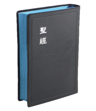 台灣聖經公會 The Bible Society in Taiwan 聖經・和合本・神版／輕便型／膠面藍邊