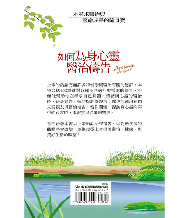 如何為身心靈醫治禱告（3版）：出於信心的禱告充滿力量，充滿力量的禱告帶來醫治！ | Healing Prayers