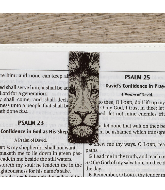 Strong and Courageous Magnetic Bookmark Set - Joshua 1:9