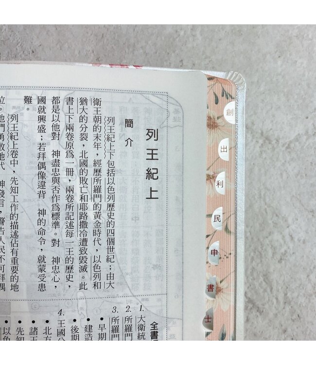 聖經．和合本．7系列．清新雛菊．彩色仿皮．紅字．翻口彩繪．姆指索引．精裝