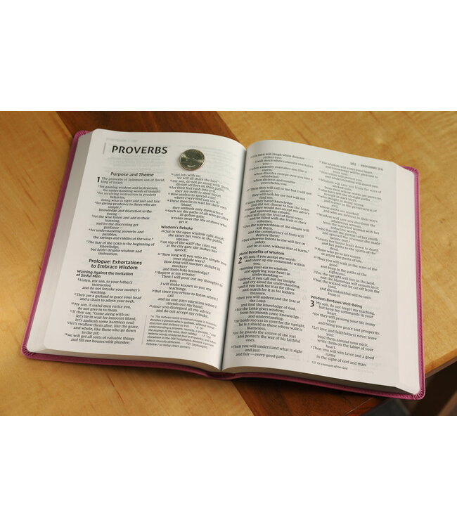 NIV Value Thinline Bible/Large Print (Comfort Print)-Pink Leathersoft