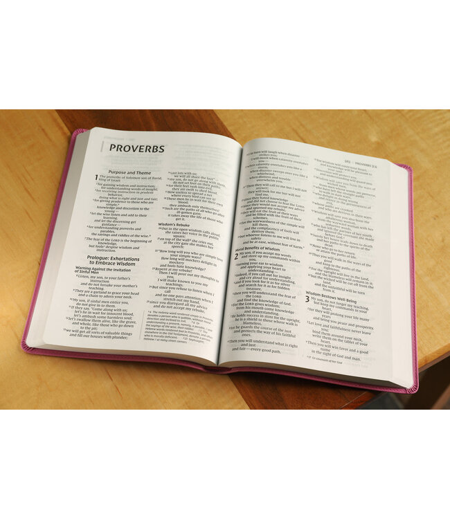 NIV Value Thinline Bible/Large Print (Comfort Print)-Pink Leathersoft