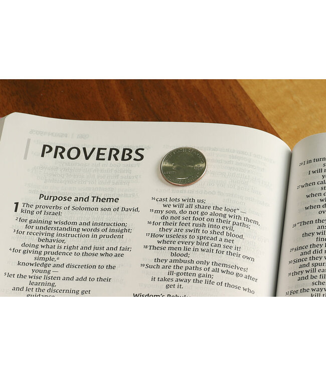 NIV Value Thinline Bible/Large Print (Comfort Print)-Pink Leathersoft