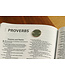 NIV Value Thinline Bible/Large Print (Comfort Print)-Pink Leathersoft
