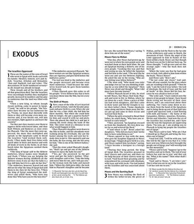 NIV Value Thinline Bible/Large Print (Comfort Print)-Pink Leathersoft