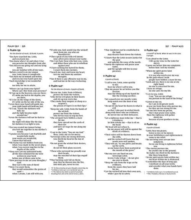 NIV Value Thinline Bible/Large Print (Comfort Print)-Pink Leathersoft