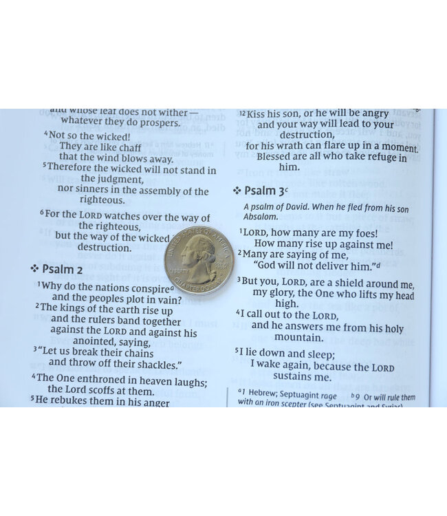NIV Value Thinline Bible/Large Print (Comfort Print)-Charcoal/Black Leathersoft