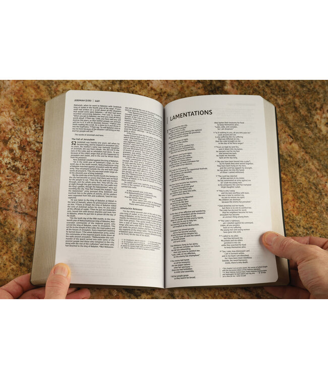 NIV Holy Bible/Soft Touch Edition (Comfort Print)-Brown LeatherSoft