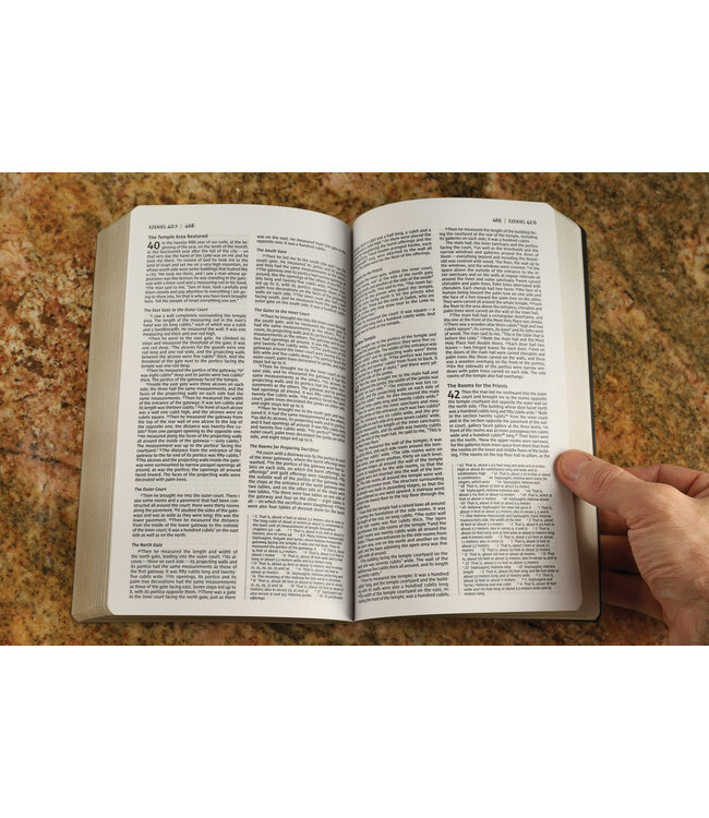 NIV Holy Bible/Soft Touch Edition (Comfort Print)-Brown LeatherSoft