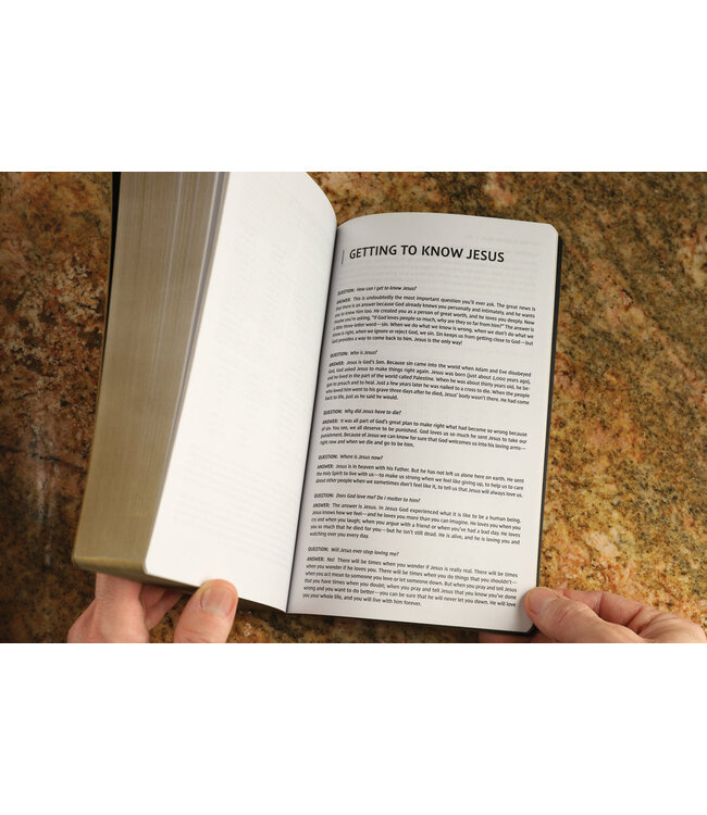 NIV Holy Bible/Soft Touch Edition (Comfort Print)-Brown LeatherSoft