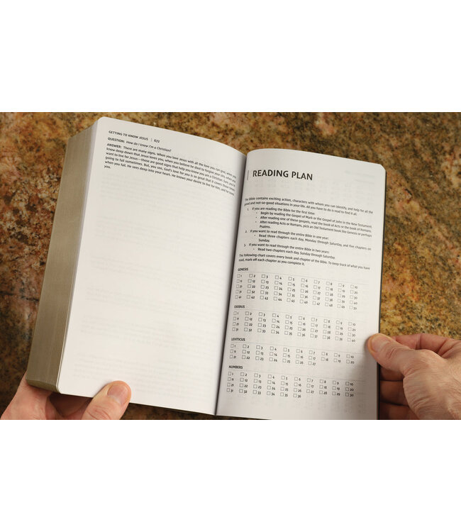 NIV Holy Bible/Soft Touch Edition (Comfort Print)-Brown LeatherSoft