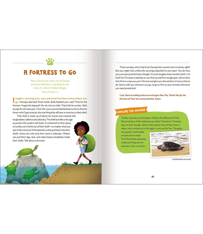 The Wonder of Creation: 100 More Devotions About God and Science