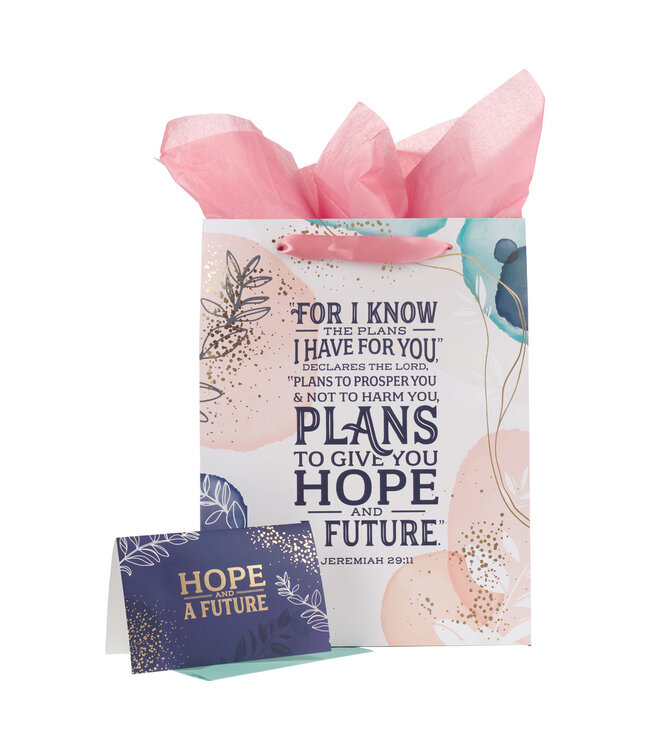 I Know the Plans Large Portrait Gift Bag with Card Set - Jeremiah 29:11