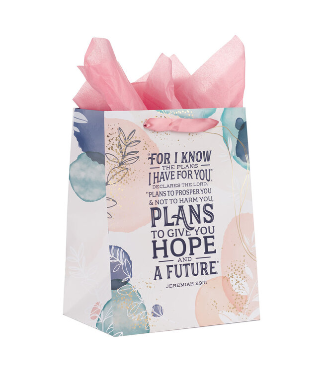 I Know the Plans Large Portrait Gift Bag with Card Set - Jeremiah 29:11