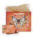 Grace Butterfly Orange Large Landscape Gift Bag with Card Set - Ephesians 2:8