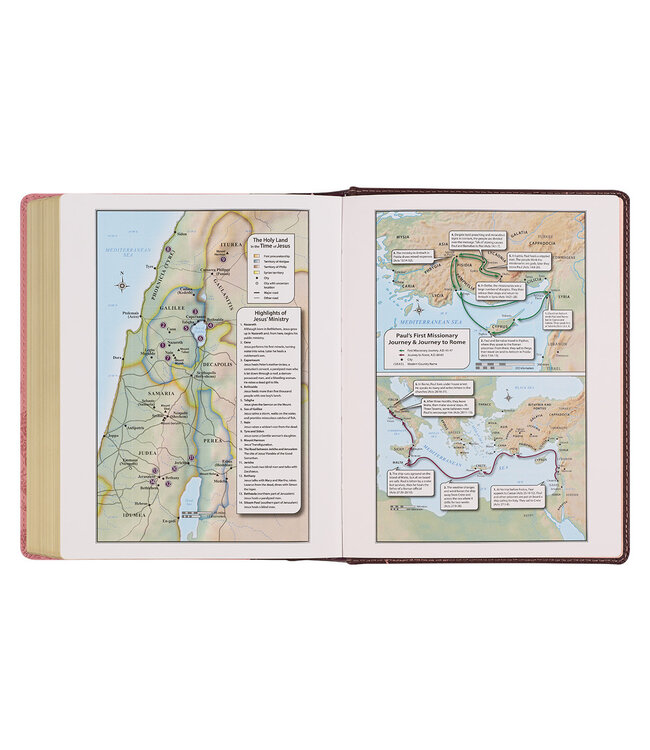 Brown and Pink Faux Leather Hardcover Note-taking Bible