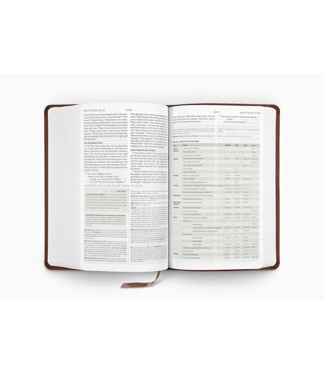 ESV Student Study Bible, TruTone, Chestnut