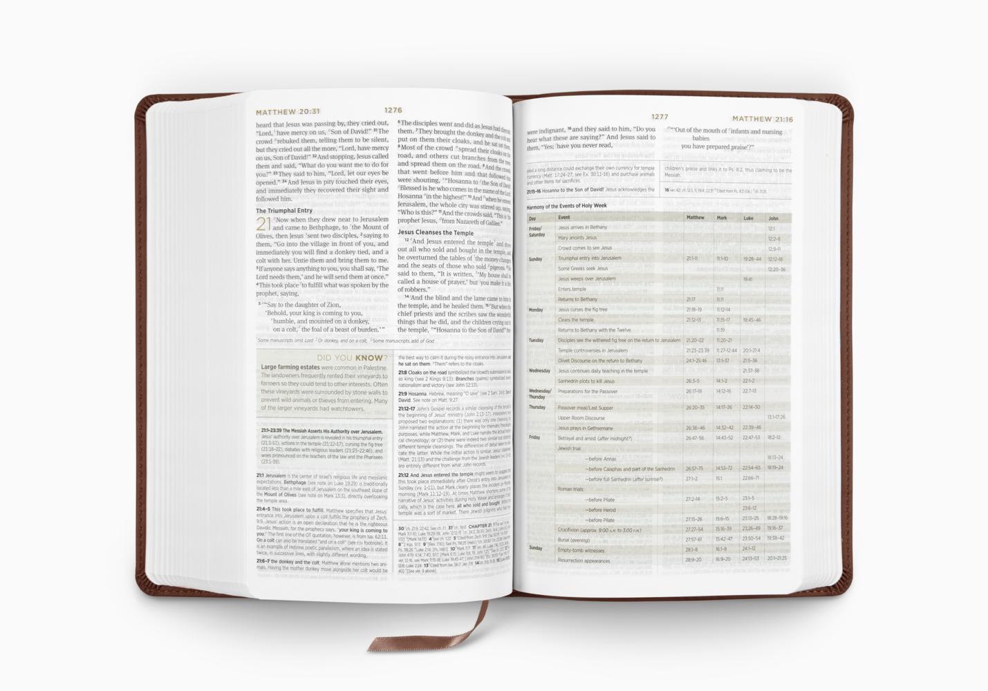 Esv student study bible trutone chestnut u s tien dao books