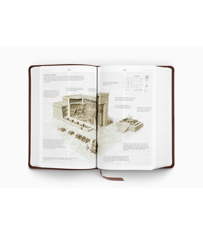 ESV Student Study Bible, TruTone, Chestnut