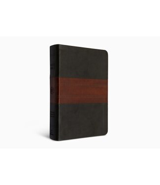 Crossway ESV Large Print Personal Size Bible, TruTone, Forest/Tan, Trail Design
