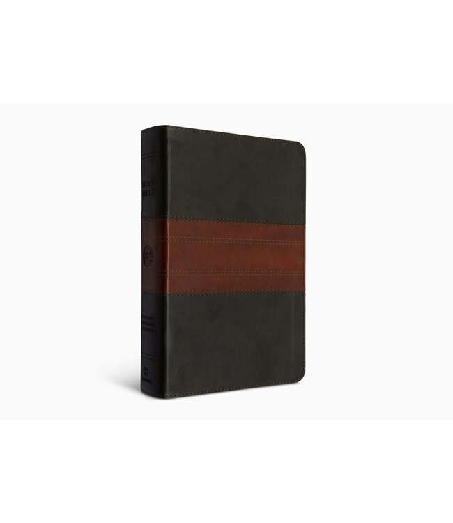 ESV Large Print Personal Size Bible, TruTone, Forest/Tan, Trail Design