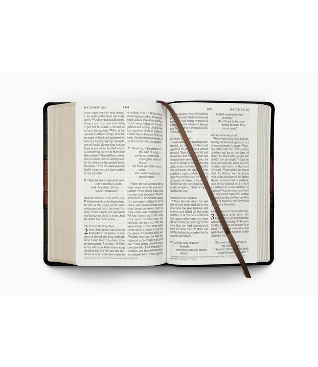 ESV Large Print Personal Size Bible, TruTone, Forest/Tan, Trail Design