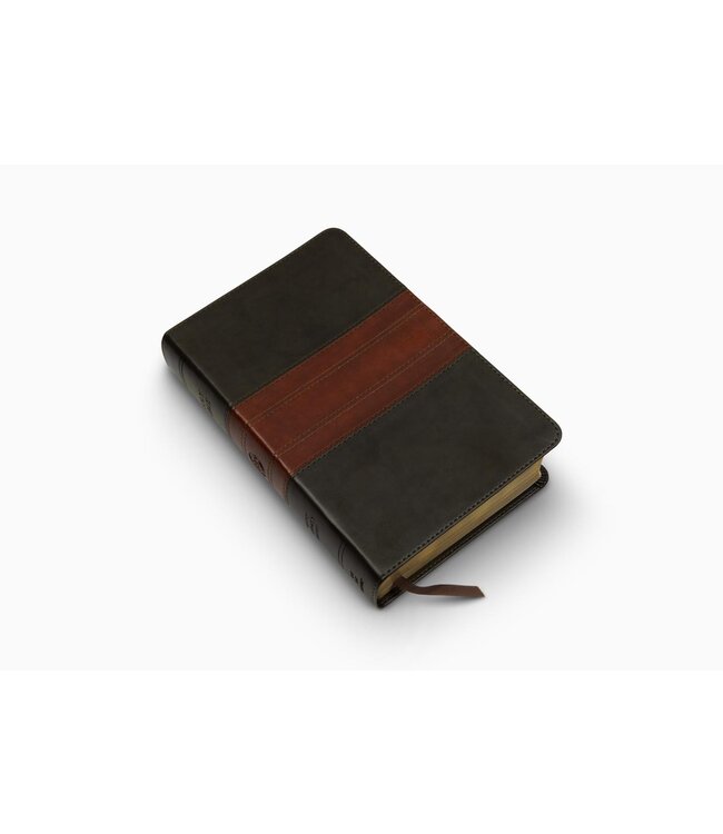 ESV Large Print Personal Size Bible, TruTone, Forest/Tan, Trail Design