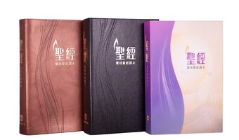 醒世指南篇 清 光緒19年 金璧齋刊印 唐本 和本 彩色放大本中國著名碑帖(第12輯)--蘇慈墓誌銘