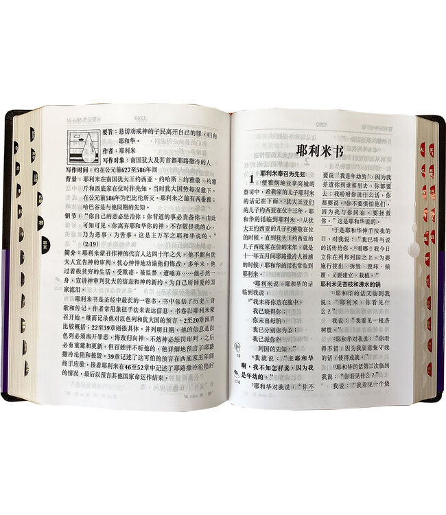 圣经．和合本．祷告应许特大字版．黑色仿皮面金边．拇指版（简体）