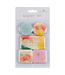 Christian Art Gifts Watercolor Pastel Meadow Assorted Magnet Set | 水彩淺野杂磁鐵套裝