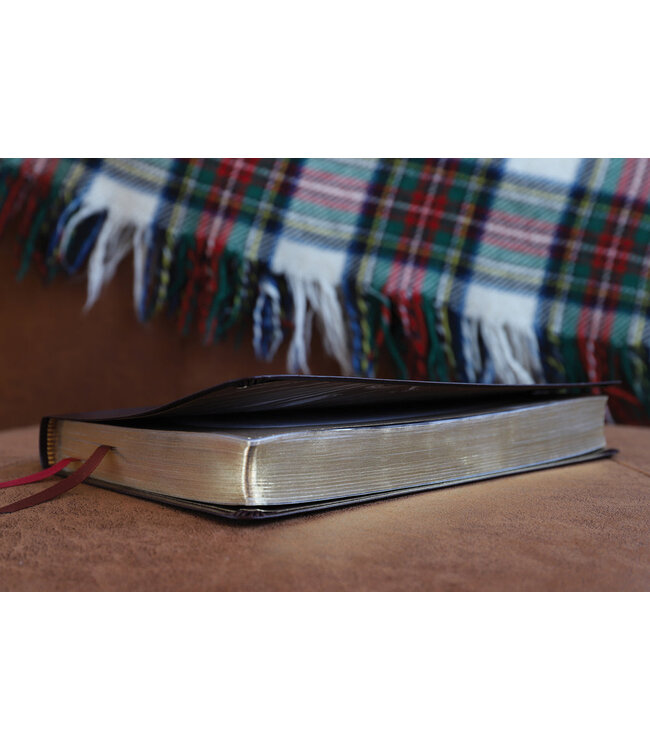 NIV Thinline Bible (Comfort Print)-Burgundy Bonded Leather