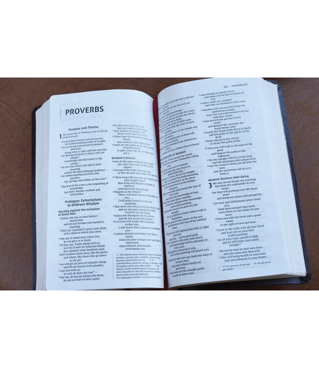 NIV Thinline Bible (Comfort Print)-Burgundy Bonded Leather