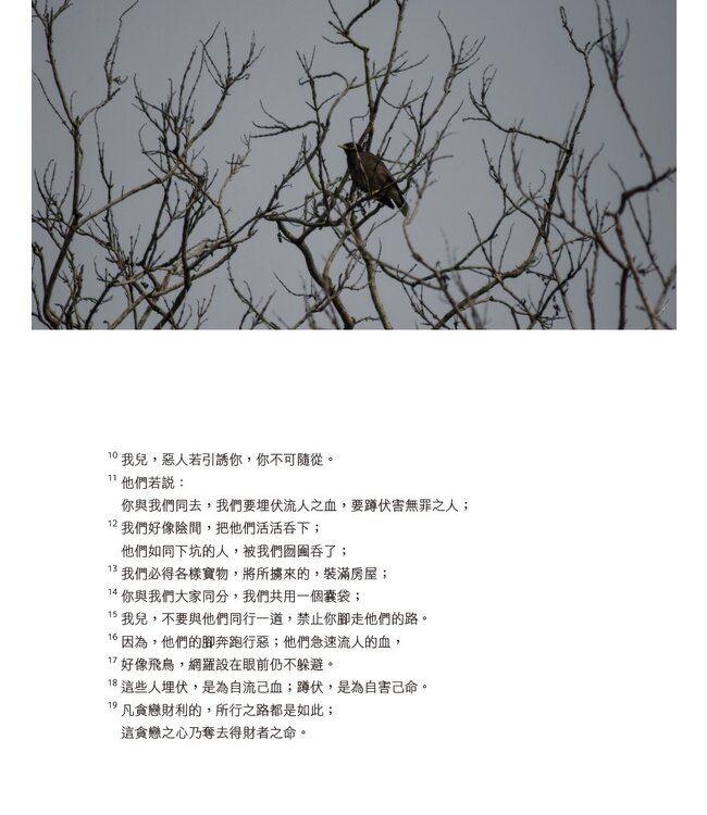 悅讀聖經：箴言