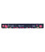 Christian Art Gifts Friends are the Flowers of Life Magnetic Strip 磁貼