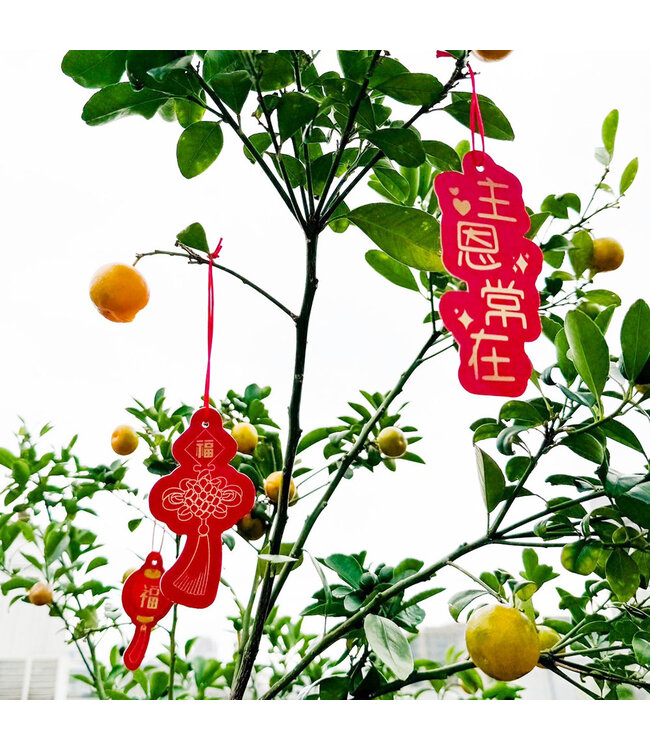 新春掛飾——新年蒙福