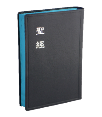 台灣聖經公會 The Bible Society in Taiwan 聖經．和合本．神版．中型．膠面藍邊