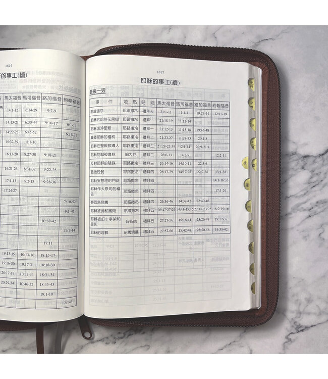 靈火聖經：豐盛生命研讀本（皮面拉鍊索引）