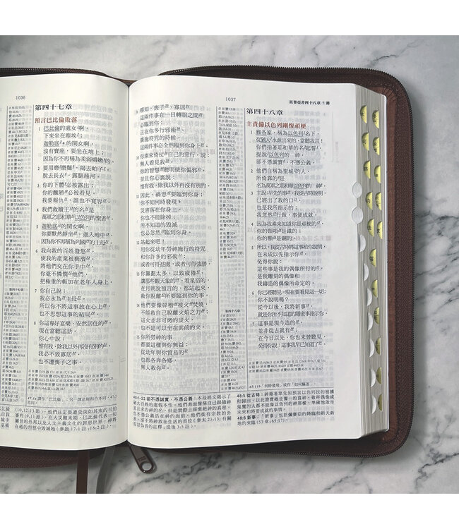 靈火聖經：豐盛生命研讀本（皮面拉鍊索引）