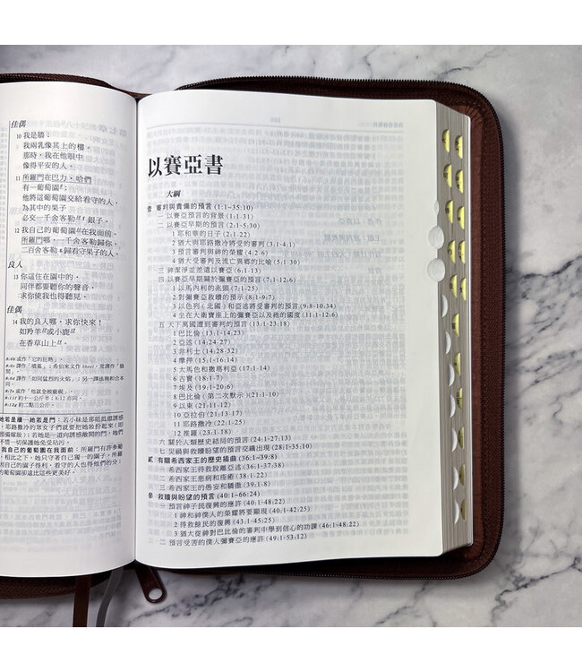 靈火聖經：豐盛生命研讀本（皮面拉鍊索引）