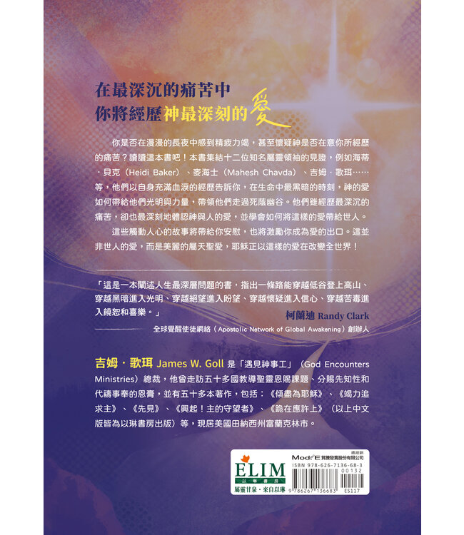 黑暗中，我看見愛的模樣：12位屬靈領袖如何走過生命中最黑暗的時刻！ | What Love Looks Like