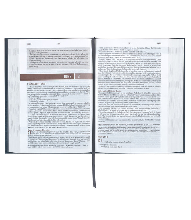 Navy Wave Hardcover NLT Everyday Devotional Bible for Men